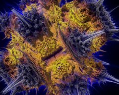 Mandelbulb308a